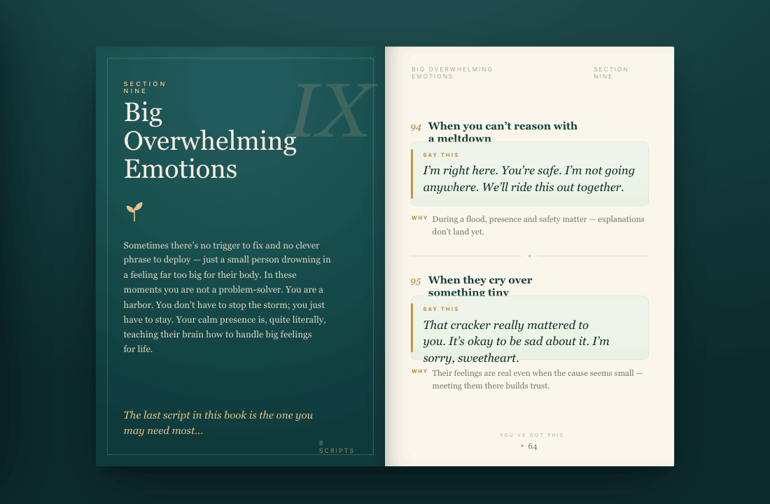 The Gentle Script Library — 101 Calm Phrases for Toddler Power Struggles