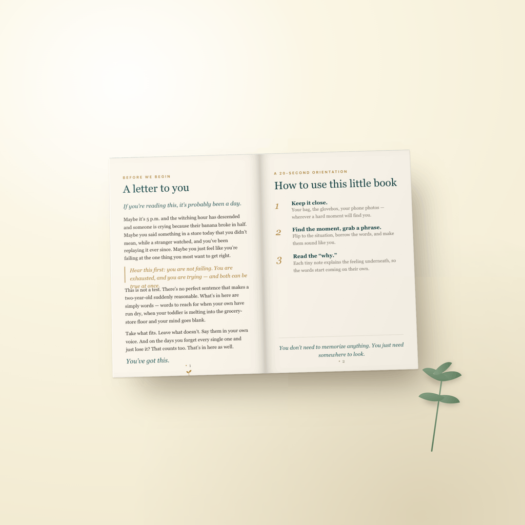 The Cycle Breakers Journal