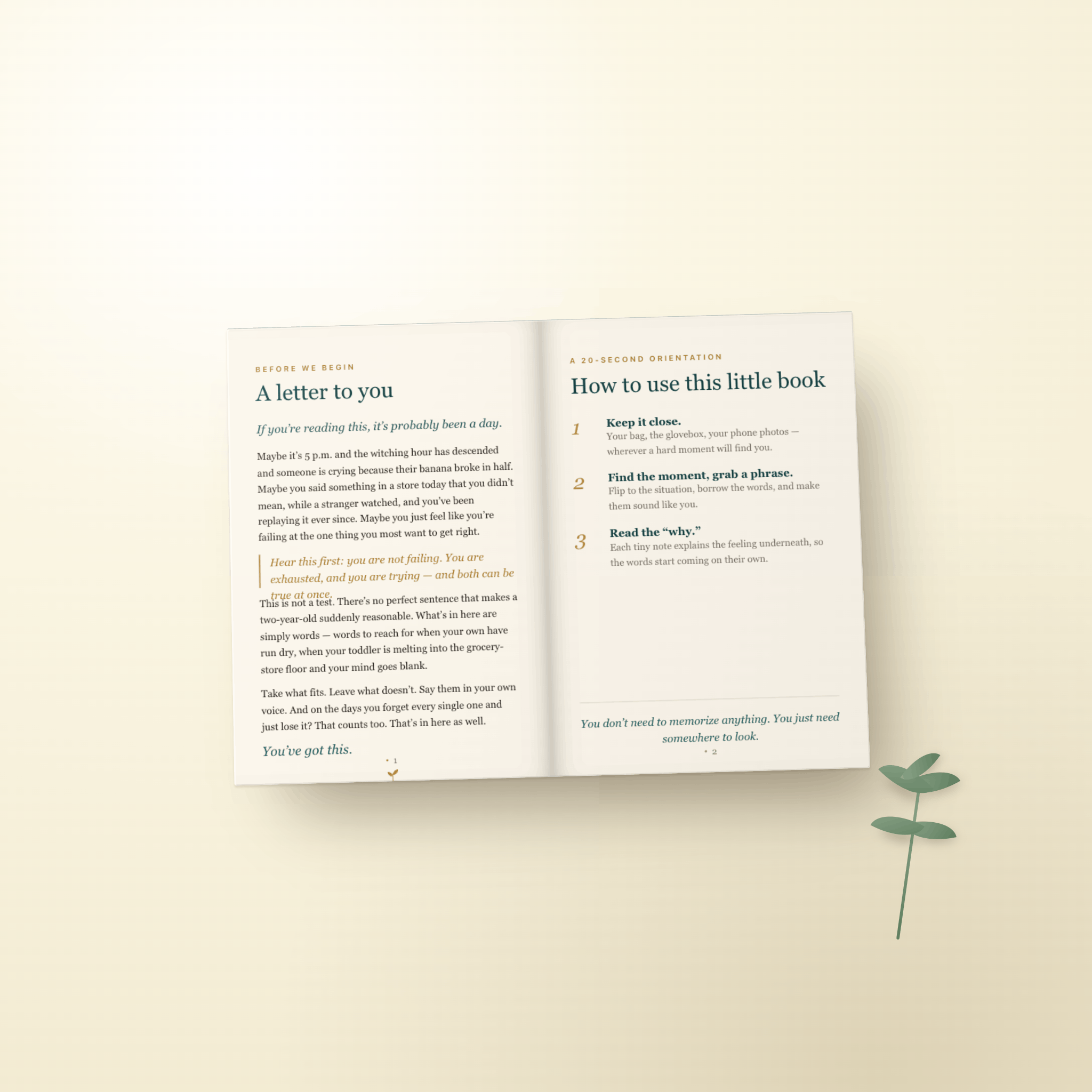 The Cycle Breakers Journal