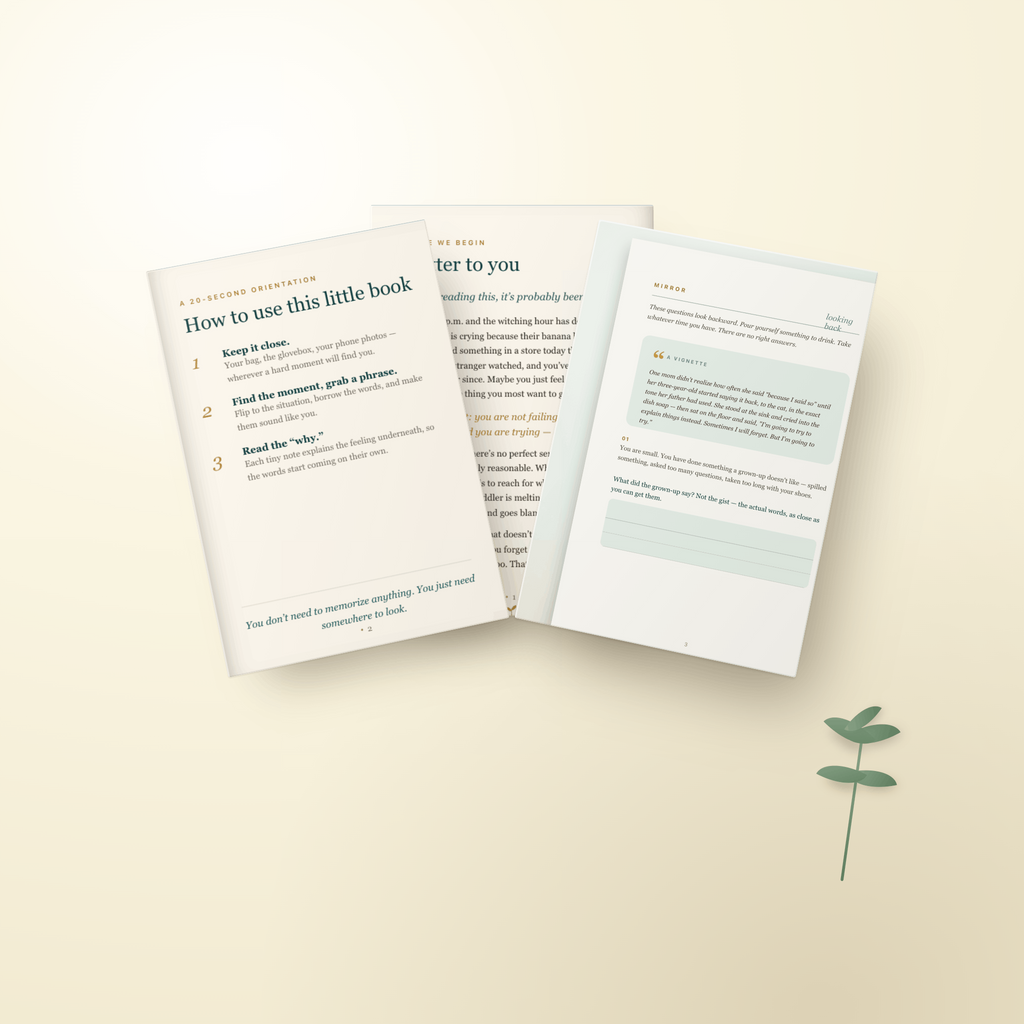 The Cycle Breakers Journal